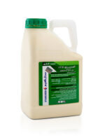 اميستو 5لتر