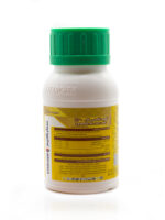 تمبو اكس ال 250سم