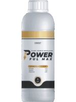 باور فول مكس