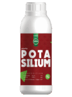 بوتاسيليم