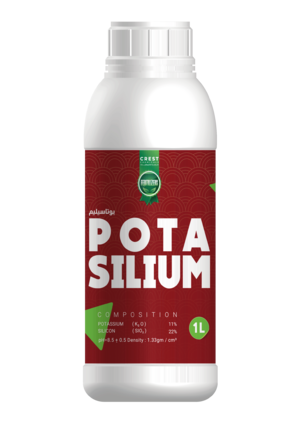 بوتاسيليم