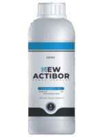 نيو أكتيبور