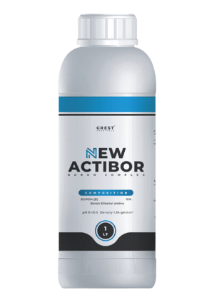 نيو أكتيبور